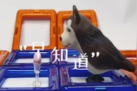 发电的儿歌｜让敏感的春天和易逝的童声，变成儿歌图片