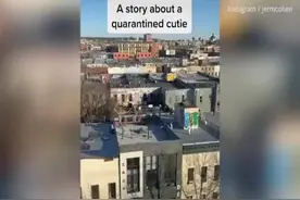 “封城”期间如何脱单？美国纽约小伙用无人机向女孩搭讪图片