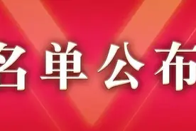 2019年度无锡纳税百强榜图片