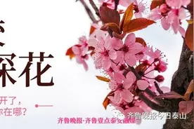 泰安人，齐鲁晚报·齐鲁壹点推出高校探花，来给母校打call图片