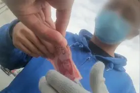 检测站被指违规收费，站方：系车托所为视频封面