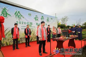 “云”体验开春祭茶！福州春茶开采玩出新花样图片