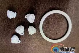买猕猴当宠物养、收售象牙等饰品，海南两人获刑并处罚金图片