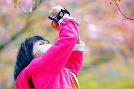 最新消息！中科大樱花开始绽放！今年或不对外开放…图片