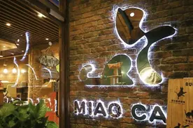 疫情中停摆的“猫咖馆”：重新开业后人气尚待恢复图片