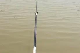 声音是否影响鱼吃饵，谈谈你们的看法图片
