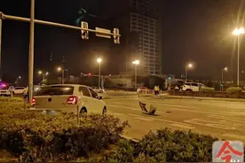 柳州女子上路练车，误将油门当刹车致一死一伤，审判结果来了图片