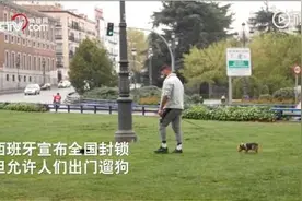 硬核遛狗！塞尔维亚奶奶阳台遛狗有奇招，狗子内心想“绝交”图片