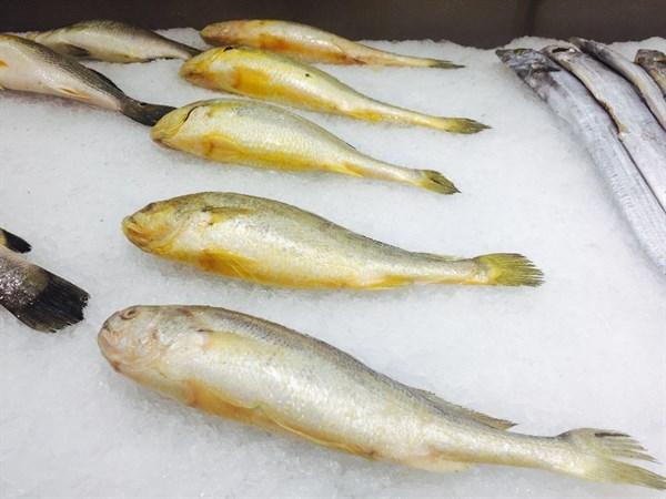 米鱼的功效 2026年米鱼的功效与副作用 米鱼的功效 2026年米鱼的功效与副作用