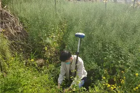 荥经：雅西高速出口连接线拓宽改造工程启动土地勘界图片