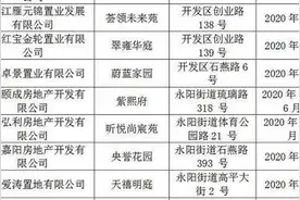 溧水楼市爆发将迎10盘集中入市，万科新品未来城今日首开图片