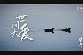 我去火神山救外婆 纪录片《英雄之城》片段14视频封面