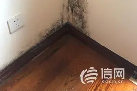 青岛绿城诚园墙面渗水发霉 物业：等雨天开墙查原因图片