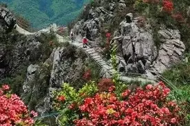 再过10天，广东这里千亩“杜鹃花海”将上线！图片