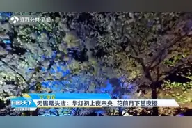 无锡鼋头渚：华灯初上夜未央，花前月下赏夜樱，美极了！视频封面