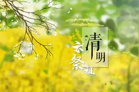 4月1日起，哈尔滨市9个殡仪场馆全面关闭焚烧区图片