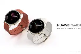 华为Watch GT2发布两款全新配色：凝霜白、栗木红图片