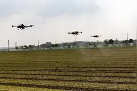 极飞首个智慧农业示范基地落户广东，打造科技强省智慧农业名片图片