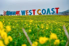3月28日相约油菜花海！青岛影视旅程开启“第一趴”图片