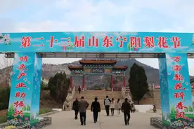 万亩梨花醉春风！第23届宁阳梨花节开幕图片