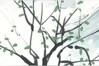 松江这几座古桥，你走过吗？图片