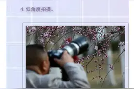 赏花新技能 如何用手机拍摄出最美春花图片
