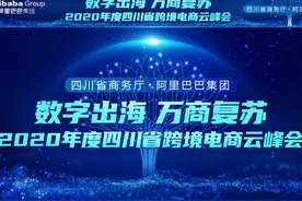 跨境电商疫情后有新机会，川企在这五大行业有优势图片
