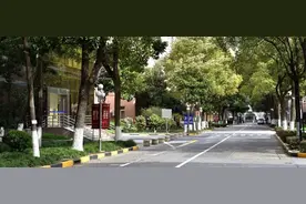 上外学者张鹏：防控疫情亟需各国将主权级资源转化为直接行动力图片