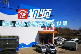「助企」开集啦！鞍山众鑫水族宠物大世界恢复营业图片