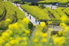 一周休2.5天能不能常态化图片