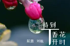 这情歌太走心，一张口天使哭了图片