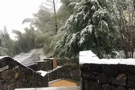 冷冷冷！浙江多地发布霜冻蓝色预警，降雨也要卷土重来，注意保暖图片