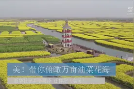 美！带你俯瞰万亩油菜花海视频封面