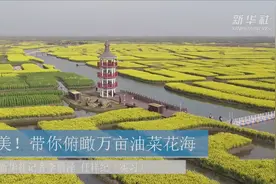 美！带你俯瞰万亩油菜花海视频封面