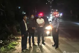 这些路段将不再摸黑！平湖拟投1500万元对凤凰大道等进行改造图片