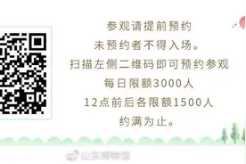 山东博物馆3月31日起恢复开放！入馆参观需提前预约图片