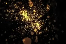 熊猫宝宝在线营业