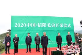2020年中国·信阳毛尖开采仪式暨第九届文新春茶节举行图片