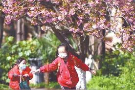 中国科大校园樱花绽放图片