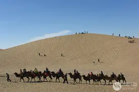 骑着骆驼去逛八道桥，与沙漠来个亲密接触图片
