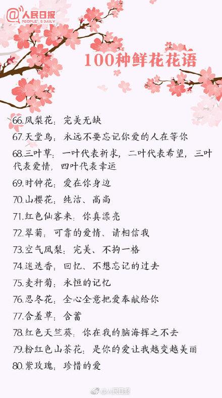 100种花的花语，收藏吧