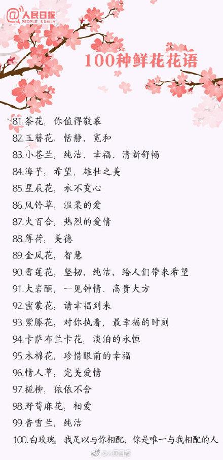 100种花的花语,收藏吧
