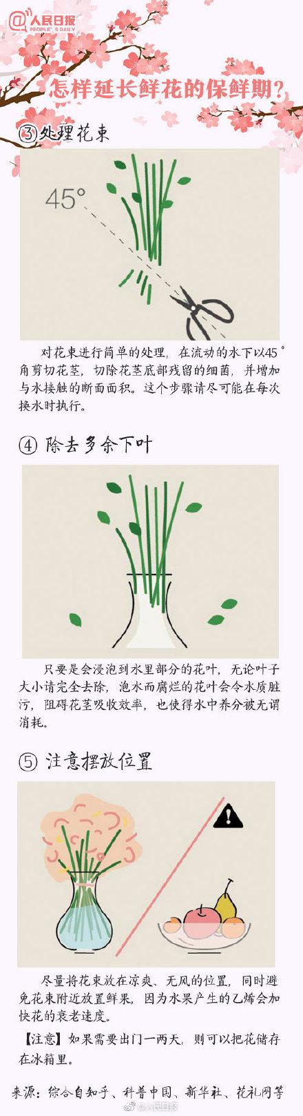 100种花的花语，收藏吧