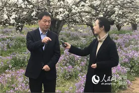 中国·砀山网络梨花节第二场直播：县委书记为梨代言图片