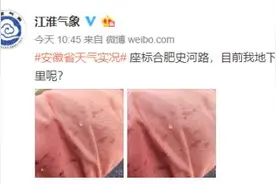 刚刚！合肥下“霰”了图片