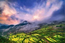 浙江哪里的油菜花最好看~这份赏花地图收好啦图片