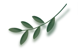 暴雨预警“拍了拍”你！这些防范知识要知道图片