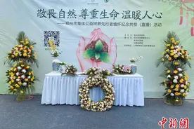 “云端”寄哀思 郑州“线上+线下”共祭公益树葬先行者图片
