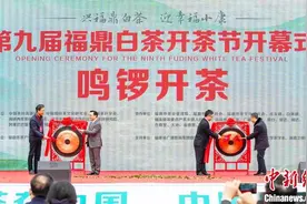 “中国白茶之乡”福建福鼎举办开茶节 助力茶农增收致富图片