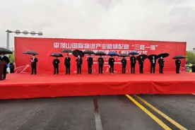 500亿！平顶山国际物流新城“开工”项目建设按下“快进键”图片